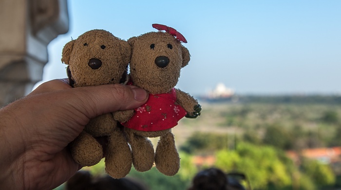 Agra Fort (Rotes Fort): Teddy und Teddine Taj Mahal