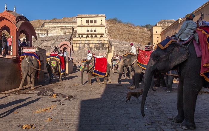Jaipur Amber Fort: Elefanten