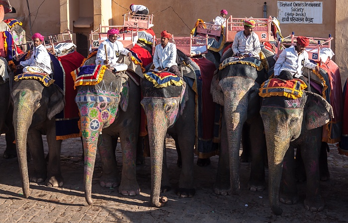 Jaipur Amber Fort: Elefanten