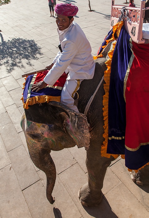 Jaipur Amber Fort: Erster Innenhof - Elefant