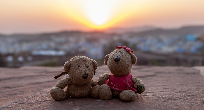 Jodhpur Mehrangarh Fort: Teddy und Teddine