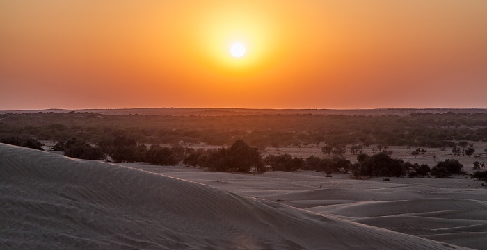Khuri Wüste Thar (Desert National Park): Sanddünen