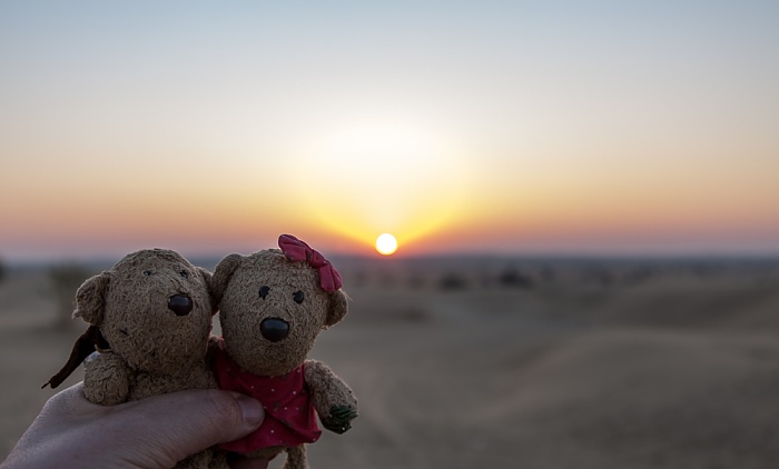 Khuri Wüste Thar (Desert National Park): Sanddünen - Teddy und Teddine