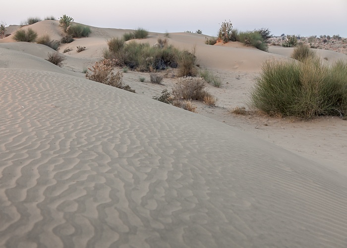 Khuri Wüste Thar (Desert National Park): Sanddünen