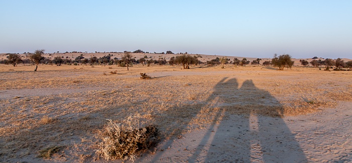 Wüste Thar (Desert National Park) Dhoba