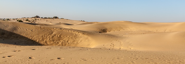 Wüste Thar (Desert National Park): Sanddünen Khuri