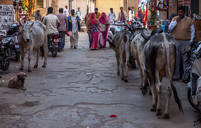 Jaisalmer Altstadt