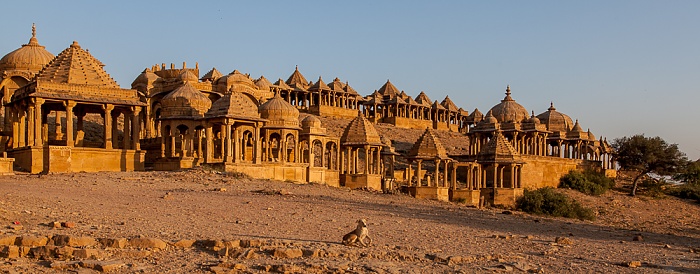 Bada Bagh Jaisalmer