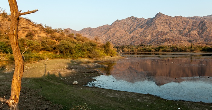 Shivika Lake Sadri
