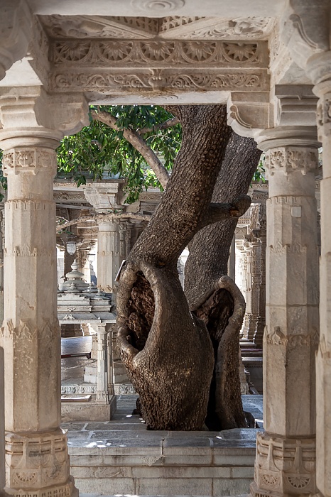 Chaumukha Adinath Temple (Jainismus) Ranakpur