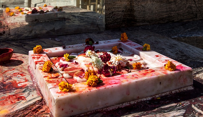 Jagdish Temple Udaipur