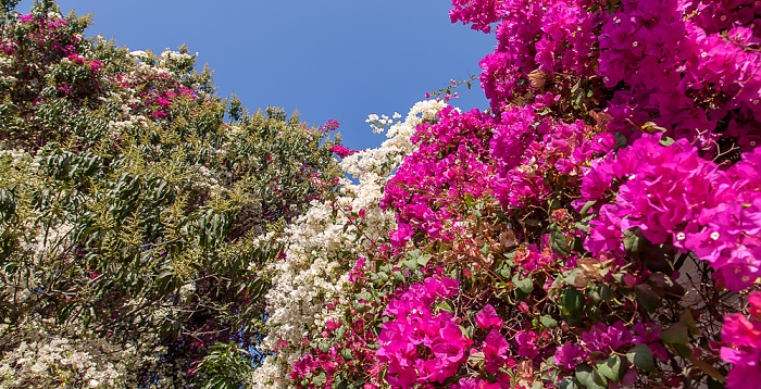 Saheliyon-ki-Bari Udaipur