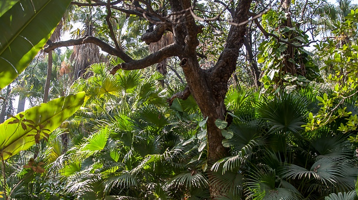 Saheliyon-ki-Bari Udaipur