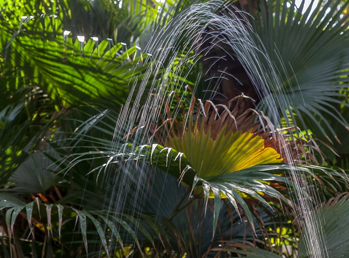 Saheliyon-ki-Bari Udaipur