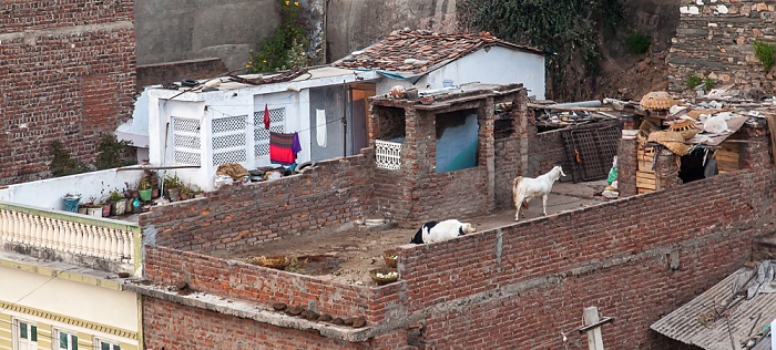 Blick vom Hotel Hill Lake Udaipur