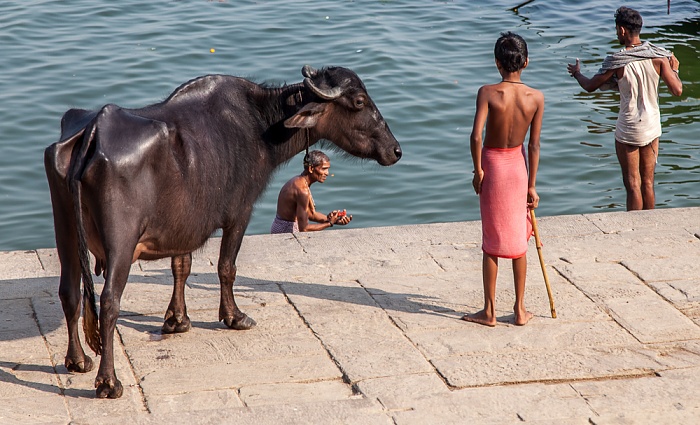Ghats: Manasarovara Ghat - Kuh Varanasi
