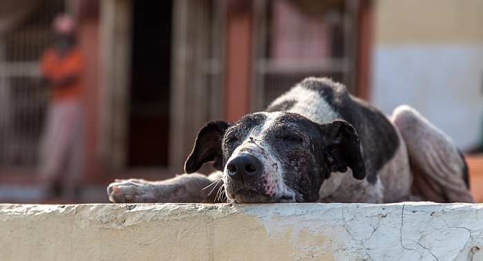Ghats: Manasarovara Ghat - Hund Varanasi