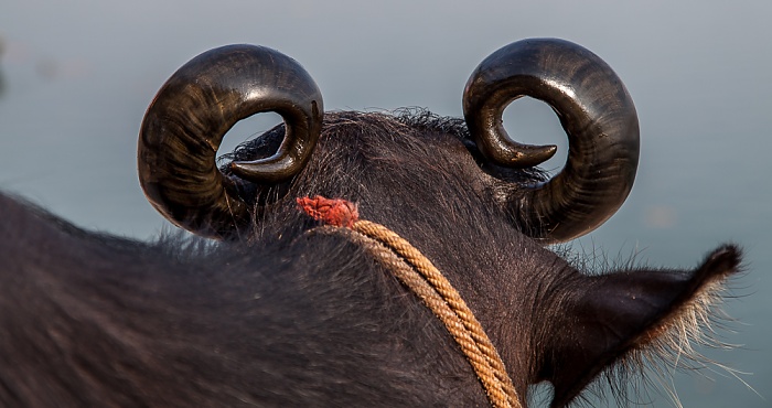 Ghats: Nepali Ghat - Kuh Varanasi