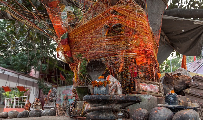 Ghats: Assi Ghat Varanasi