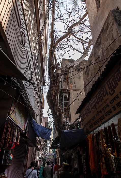 Altstadt Varanasi