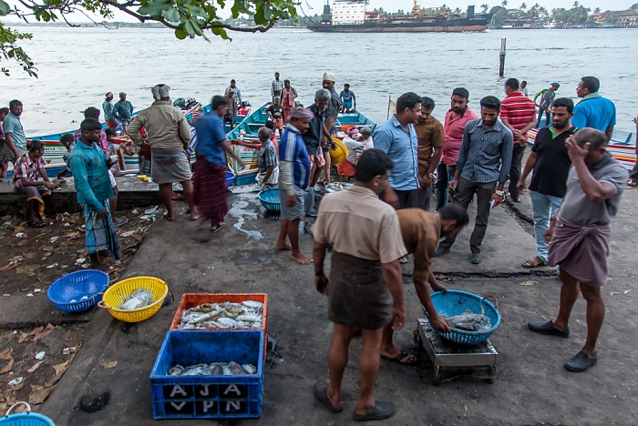 Fort Kochi: Verkauf des frischgefangenen Fischs Kochi