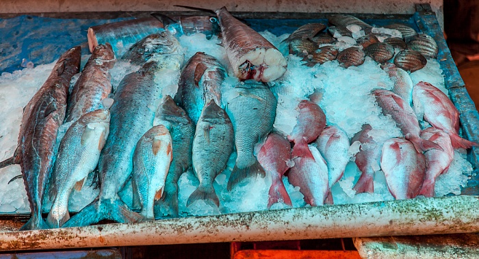 Fort Kochi: Frischgefangener Fisch Kochi