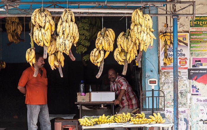 Fort Kochi: Pullupalam Road Kochi