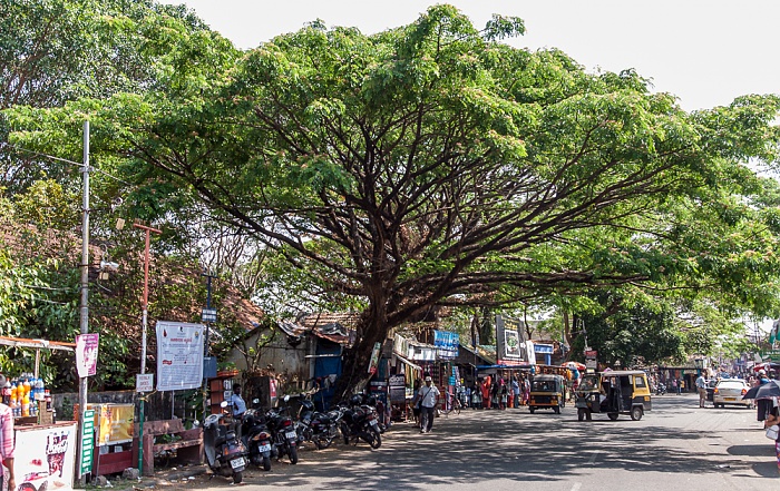 Mattancherry: Jew Town Road Kochi