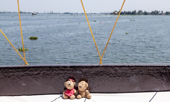 Backwaters Hausboot Sun Birds: Teddine und Teddy