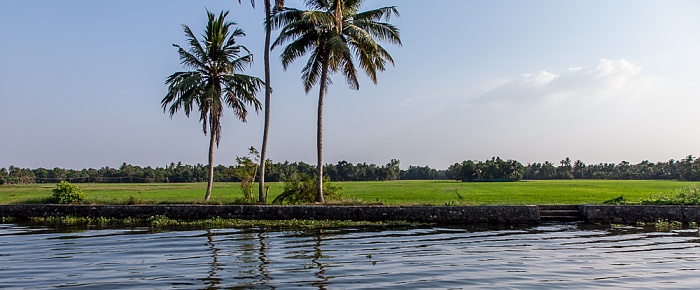 Reisfelder Backwaters