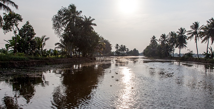 Pollepadam Thodu Backwaters