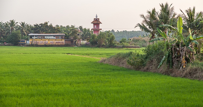 Reisfelder Backwaters