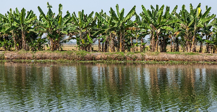Pamba River Backwaters