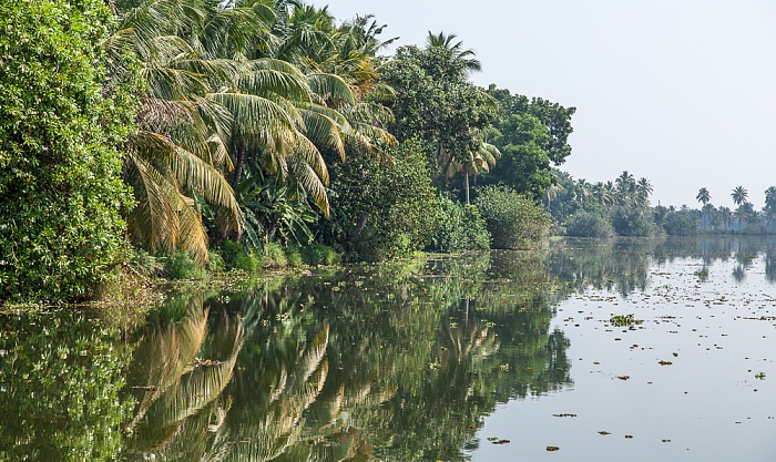 Pamba River Backwaters