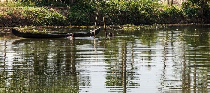 Pamba River Backwaters