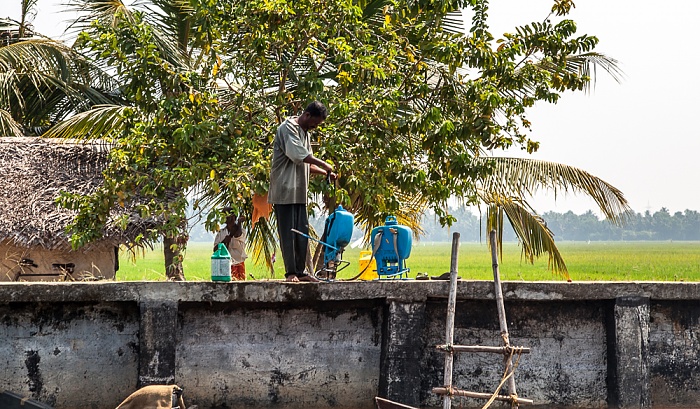 Pamba River Backwaters