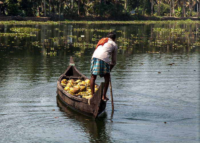 Pamba River Backwaters