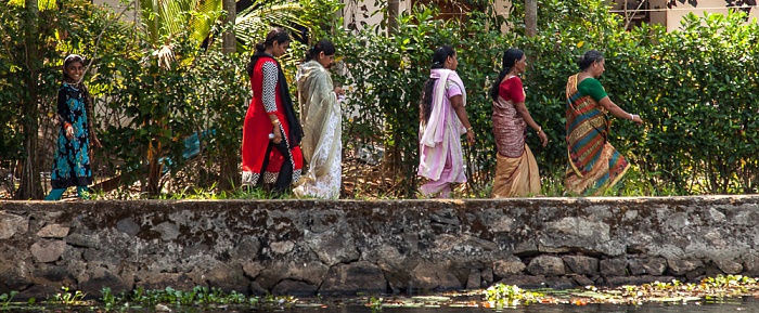 Pamba River Backwaters