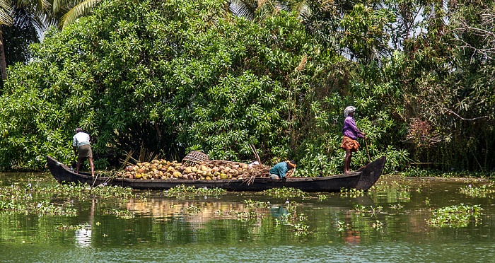 Kollam-Kottapuram Waterway Backwaters