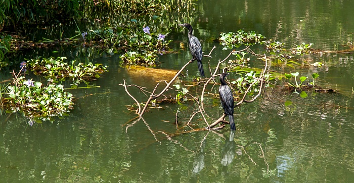 Kollam-Kottapuram Waterway Backwaters