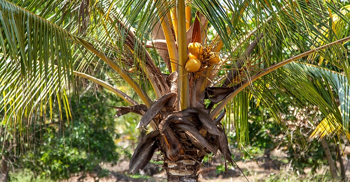 Kollam-Kottapuram Waterway Backwaters