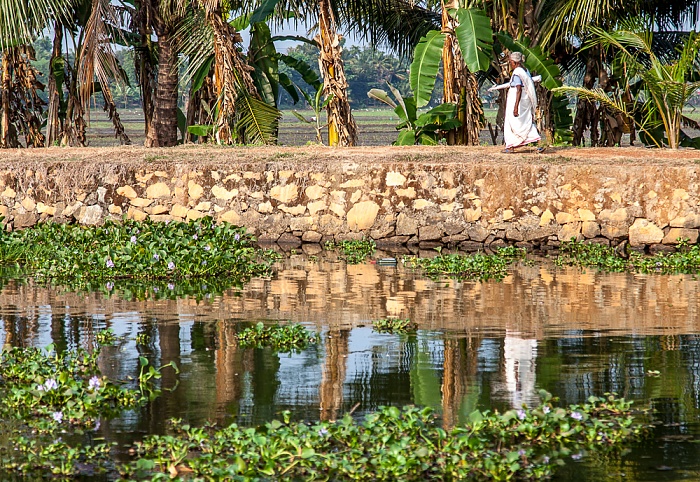 Pamba River Backwaters