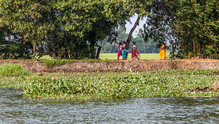 Pamba River Backwaters