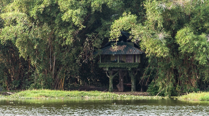 Pamba River, Our Land Resort (Karimbavalavu) Backwaters