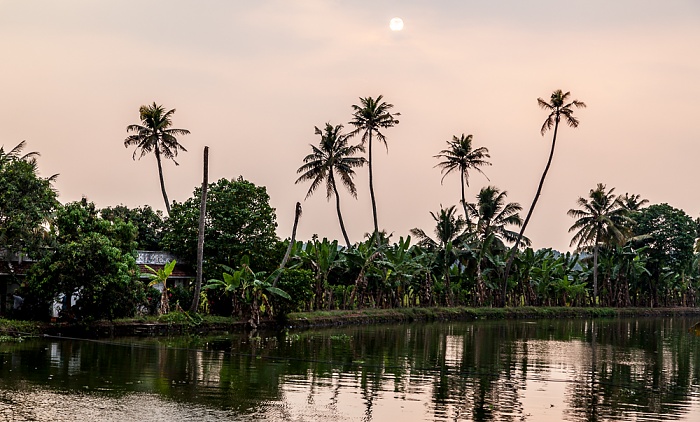 Pamba River, Pallathuruthy Backwaters