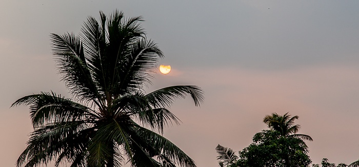 Pallathuruthy Backwaters