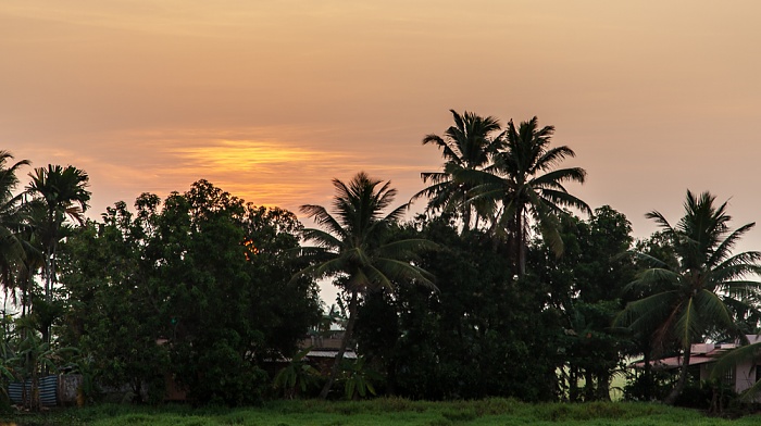 Pallathuruthy Backwaters