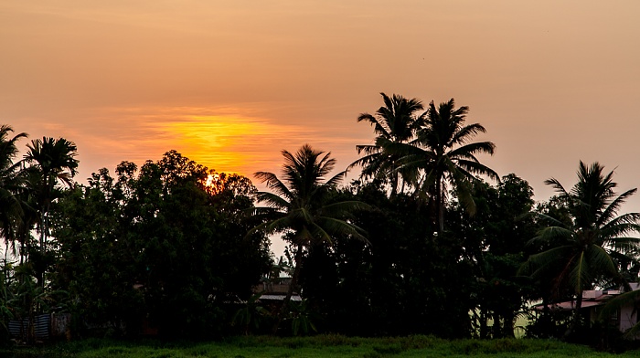Pallathuruthy Backwaters