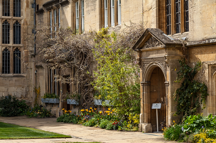 Jesus College Oxford