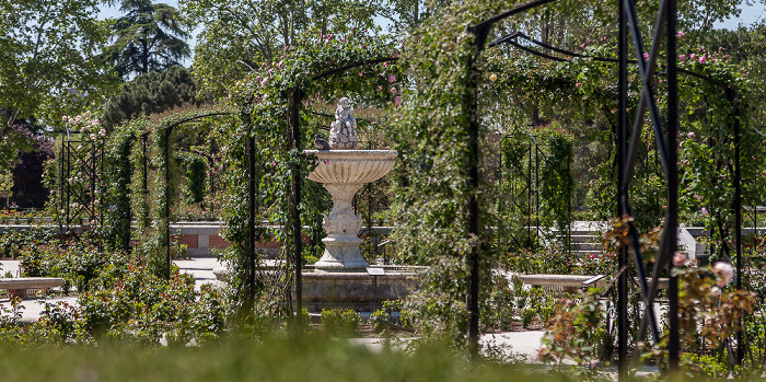 Madrid Parque del Retiro: Rosaleda del Retiro